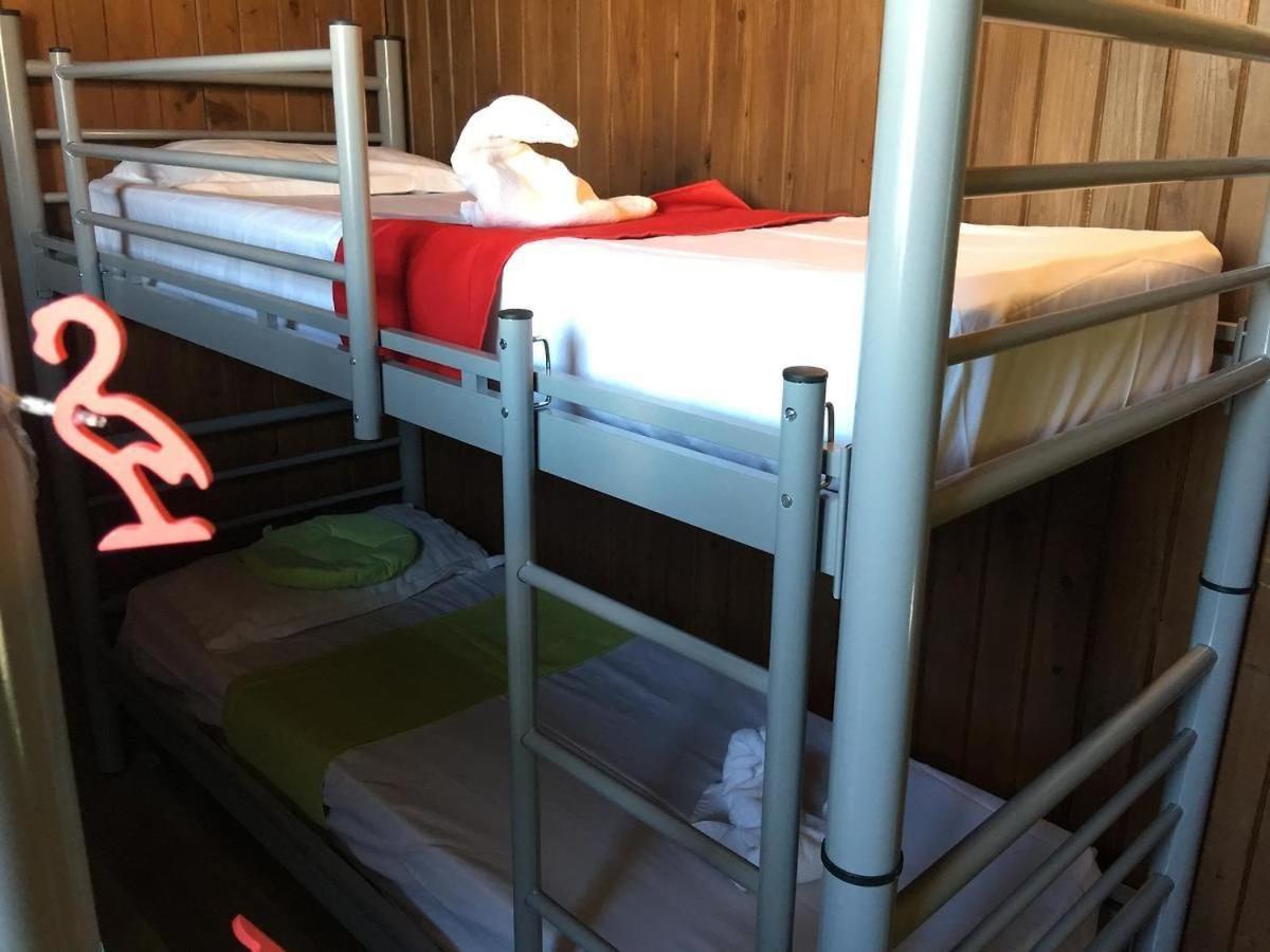 Hostel Flamingo Costinești Dış mekan fotoğraf