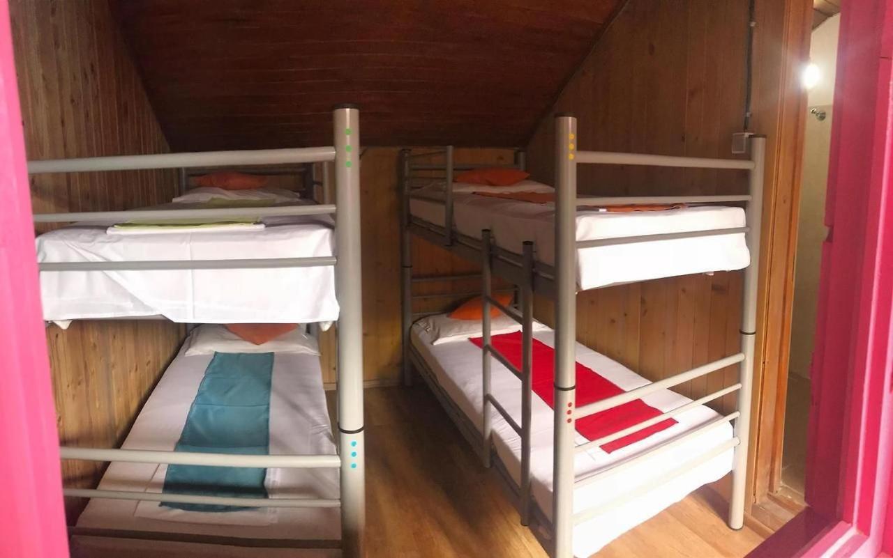 Hostel Flamingo Costinești Dış mekan fotoğraf