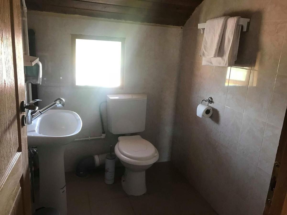 Hostel Flamingo Costinești Dış mekan fotoğraf